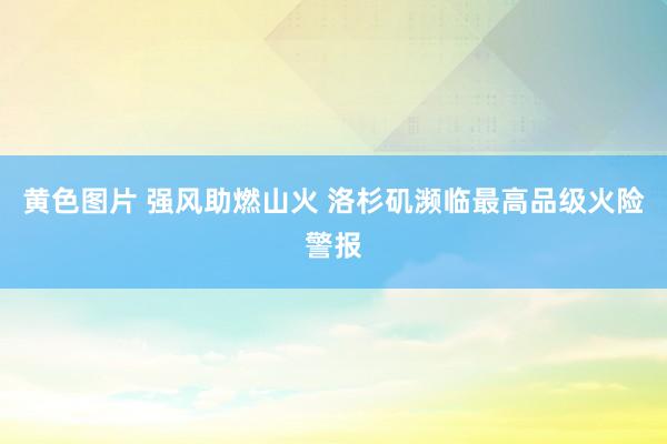 黄色图片 强风助燃山火 洛杉矶濒临最高品级火险警报