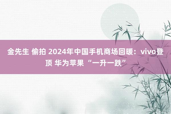 金先生 偷拍 2024年中国手机商场回暖：vivo登顶 华为苹果 “一升一跌”